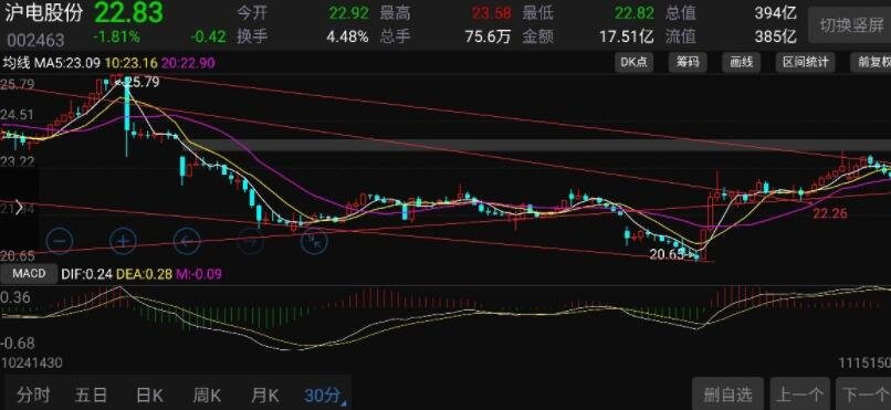 5月20日我市婚姻登记迎来“甜蜜”高峰