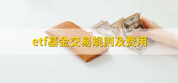Trade Desk(TTD.US) Q2业绩发布后股价暴跌近40%，凯茜·伍德迅速增持超72.5万股
