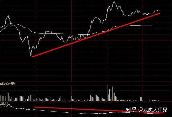 港南区香江龙舟赛激情开赛