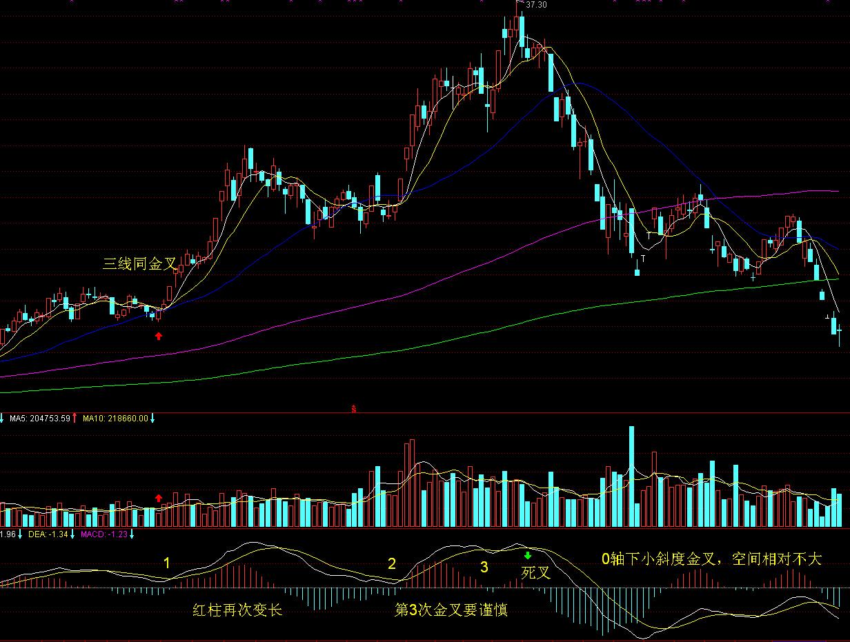 特朗普签署行政令，允许美“国防部”使用“战争部”称号