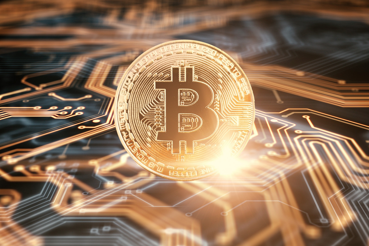 解锁新市场!梅州观赏鱼 “游” 进马来西亚