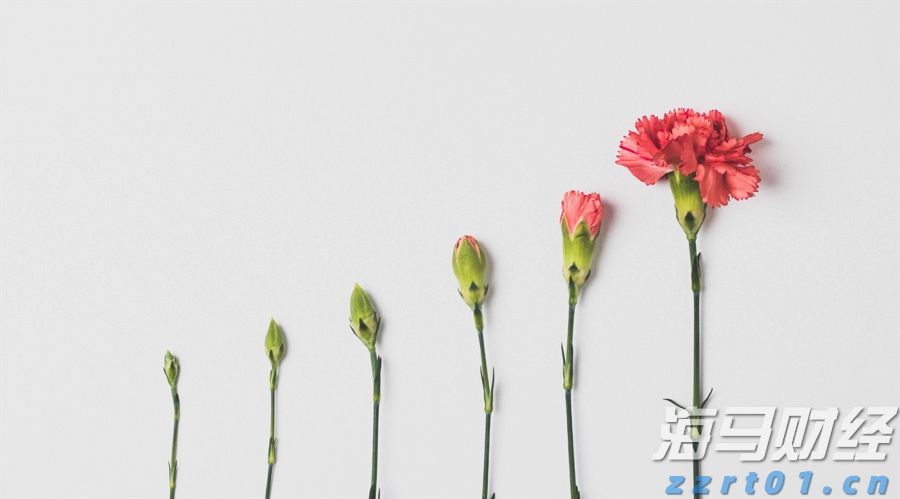 广湛高铁阳春东牵引变电所成功受电启用