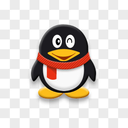 张家口女子足球特色学校正式成立